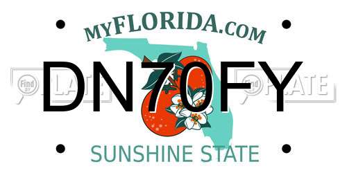 DN70FY Florida License Plate