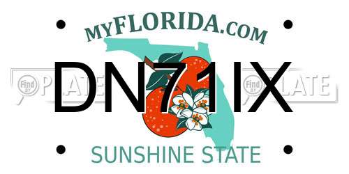 DN71IX Florida License Plate