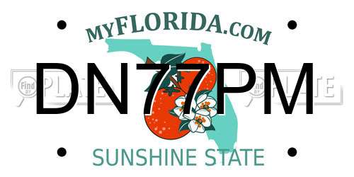 DN77PM Florida License Plate