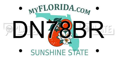 DN78BR Florida License Plate