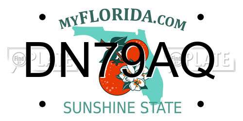 DN79AQ Florida License Plate