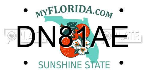 DN81AE Florida License Plate