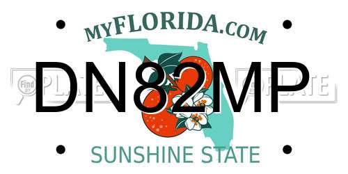 DN82MP Florida License Plate
