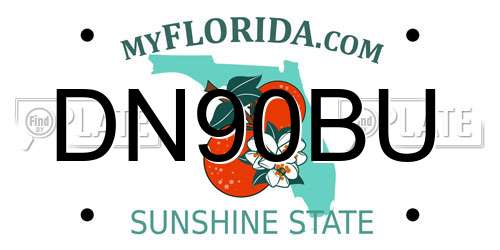 DN90BU Florida License Plate