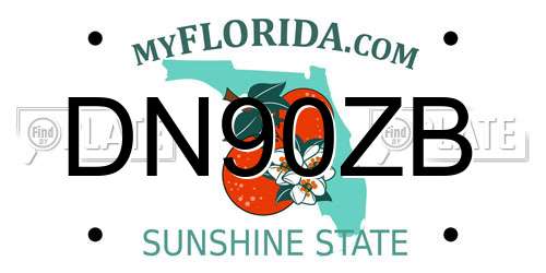 DN90ZB Florida License Plate