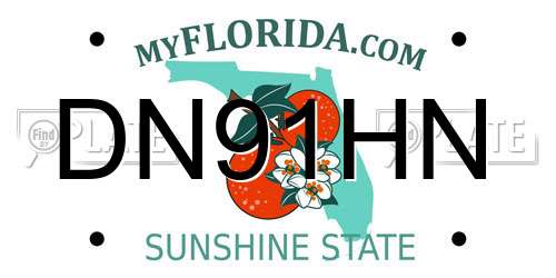 DN91HN Florida License Plate