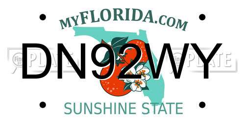 DN92WY Florida License Plate