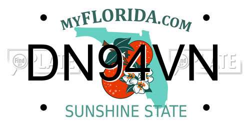 DN94VN Florida License Plate