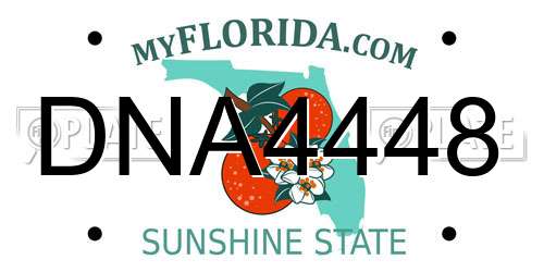DNA4448 Florida License Plate