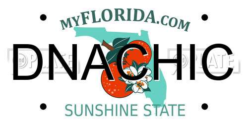 DNACHIC Florida License Plate