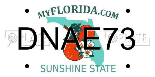 DNAE73 Florida License Plate
