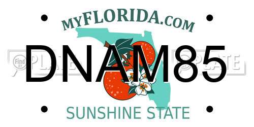 DNAM85 Florida License Plate