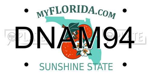 DNAM94 Florida License Plate