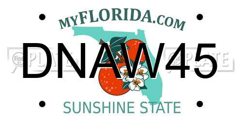 DNAW45 Florida License Plate