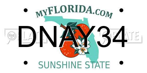 DNAY34 Florida License Plate