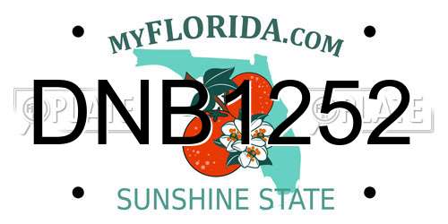 DNB1252 Florida License Plate