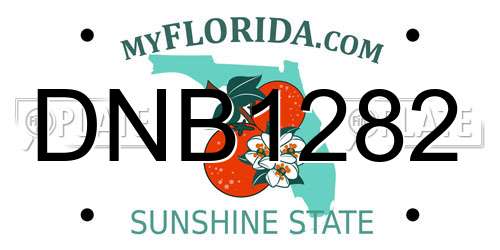 DNB1282 Florida License Plate