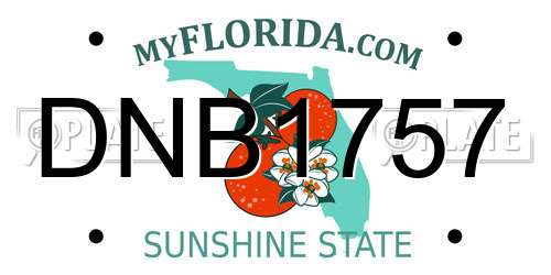DNB1757 Florida License Plate