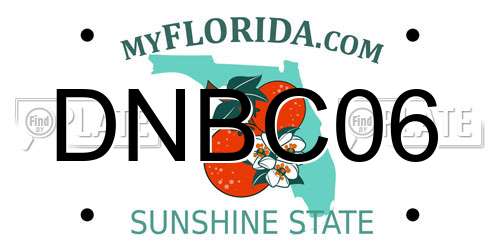 DNBC06 Florida License Plate