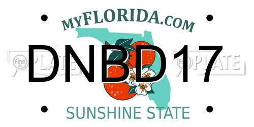 DNBD17 Florida License Plate