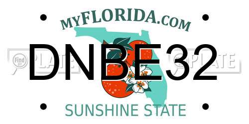 DNBE32 Florida License Plate