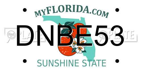 DNBE53 Florida License Plate