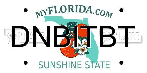DNBITBT Florida License Plate