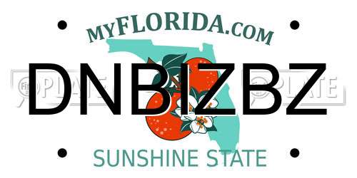 DNBIZBZ Florida License Plate