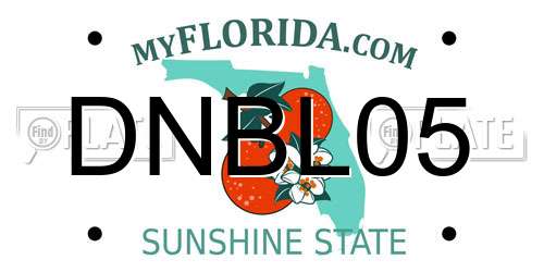 DNBL05 Florida License Plate