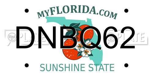 DNBQ62 Florida License Plate