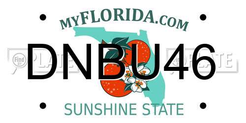 DNBU46 Florida License Plate
