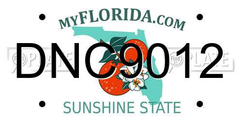 DNC9012 Florida License Plate