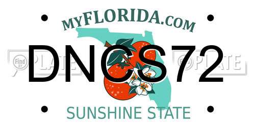 DNCS72 Florida License Plate