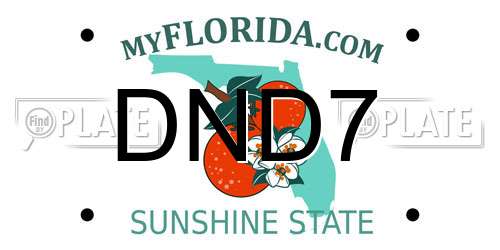 DND7 Florida License Plate