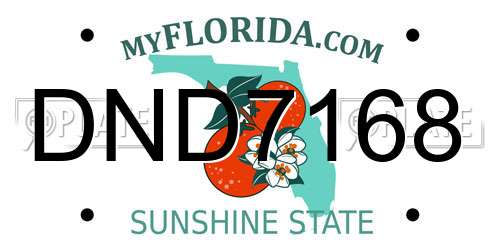 DND7168 Florida License Plate