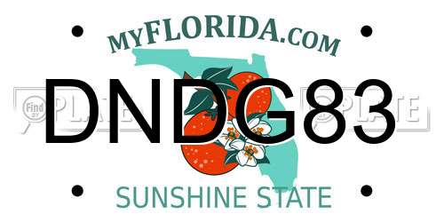 DNDG83 Florida License Plate
