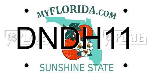 DNDH11 Florida License Plate