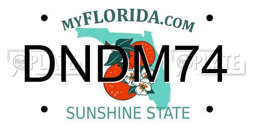 DNDM74 Florida License Plate