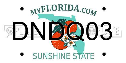 DNDQ03 Florida License Plate