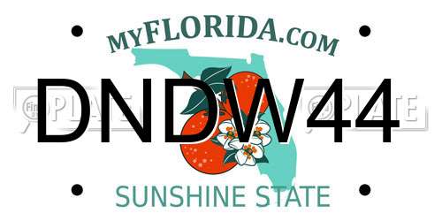 DNDW44 Florida License Plate