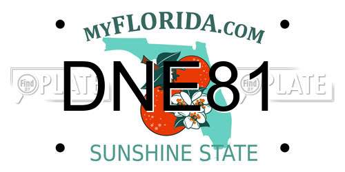 DNE81 Florida License Plate