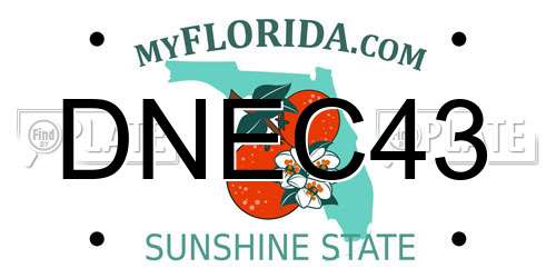 DNEC43 Florida License Plate