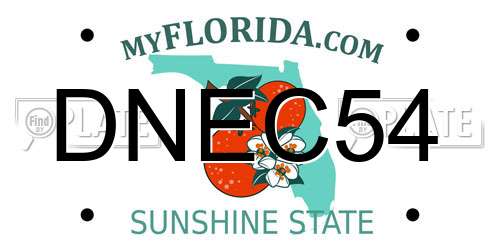 DNEC54 Florida License Plate
