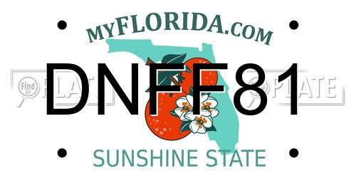 DNFF81 Florida License Plate