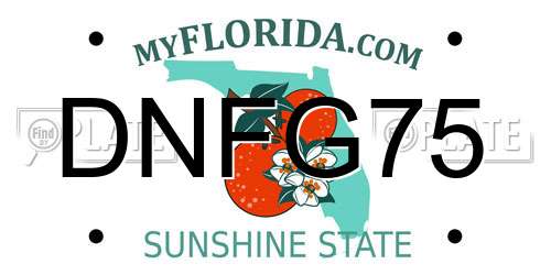 DNFG75 Florida License Plate