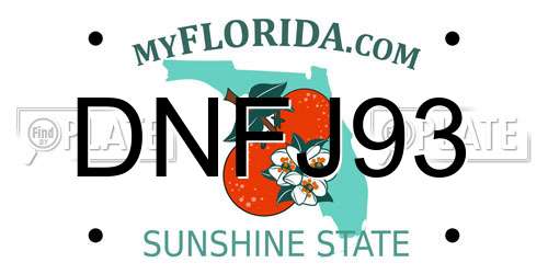 DNFJ93 Florida License Plate