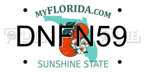DNFN59 Florida License Plate