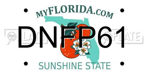 DNFP61 Florida License Plate