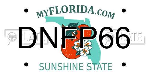 DNFP66 Florida License Plate