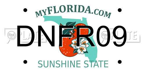 DNFR09 Florida License Plate